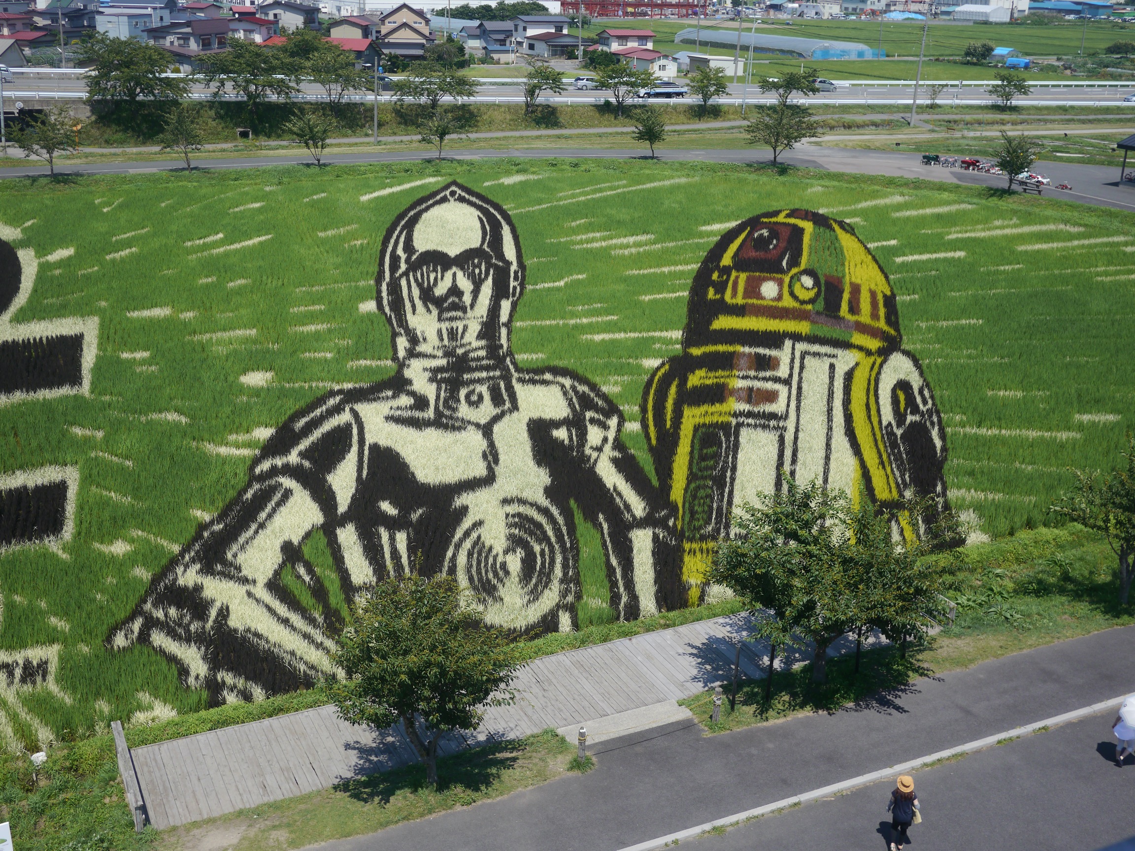 Inakadate Reisfeldkunst 2015: Star Wars & Vom Winde verweht