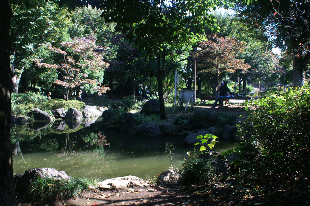 Pond in a park