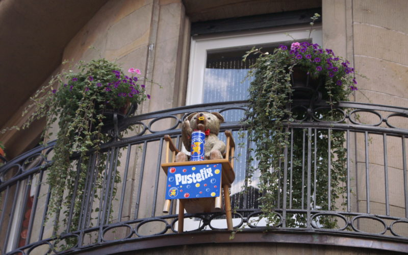 Teddy bear in Heidelberg
