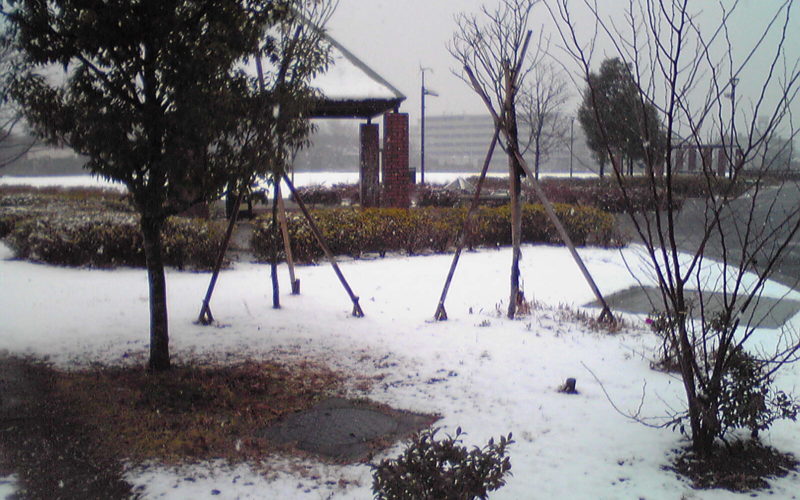 Light snow covering a park in Nakano