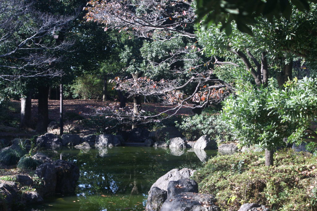 Heiwa no Mori (literally Peace Forest) is a park in Nakano City, Tokyo