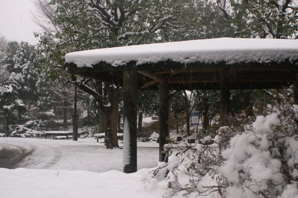 Park covered with lots of snow