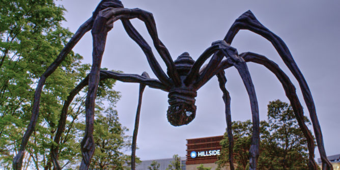 Spider in Roppongi