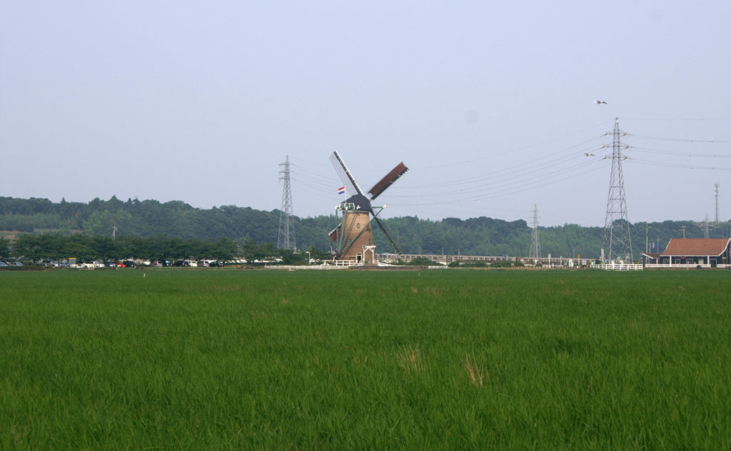 Die Windmühle von Sakura City aus der Ferne