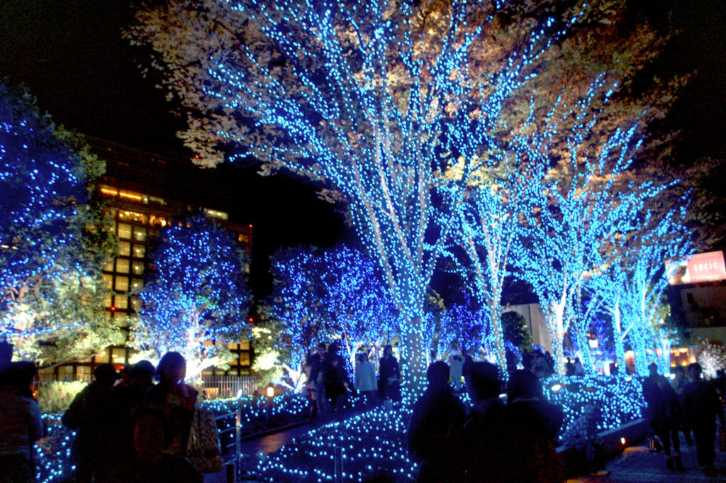 Shinjuku Southern Lights Trees
