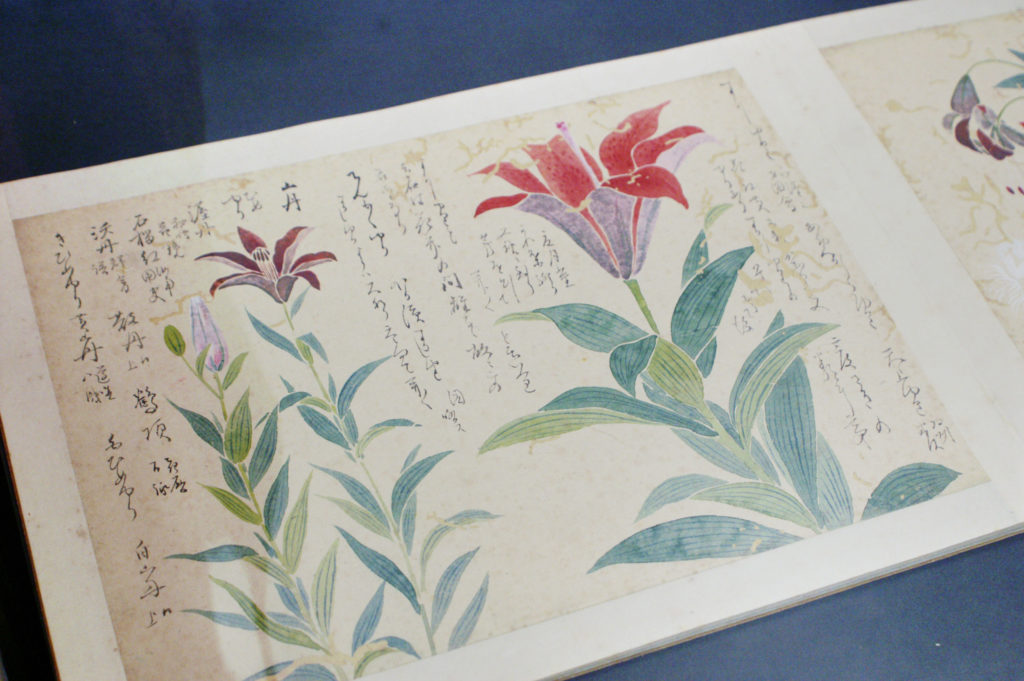 Old Japanese books