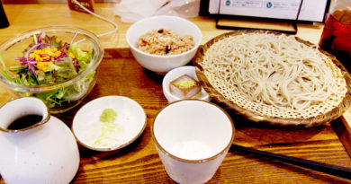Lohas Raw Food restaurant set menu with soba noodles, rice & salad