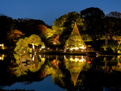 Rikugien Nighttime Illumination Central pond