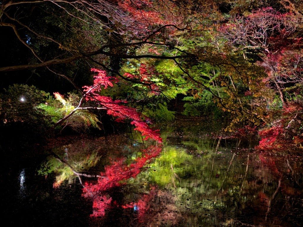 Rikugien Nighttime reflection