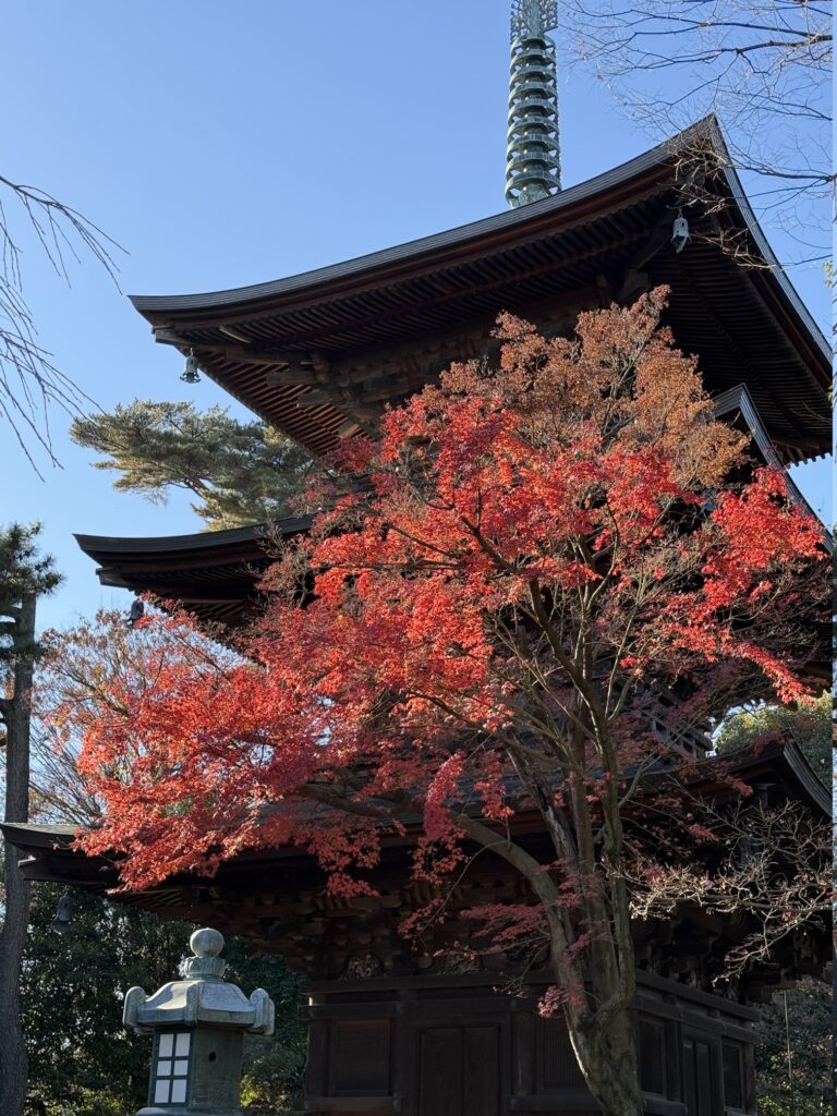 Pagoda at Gotokuji Temple