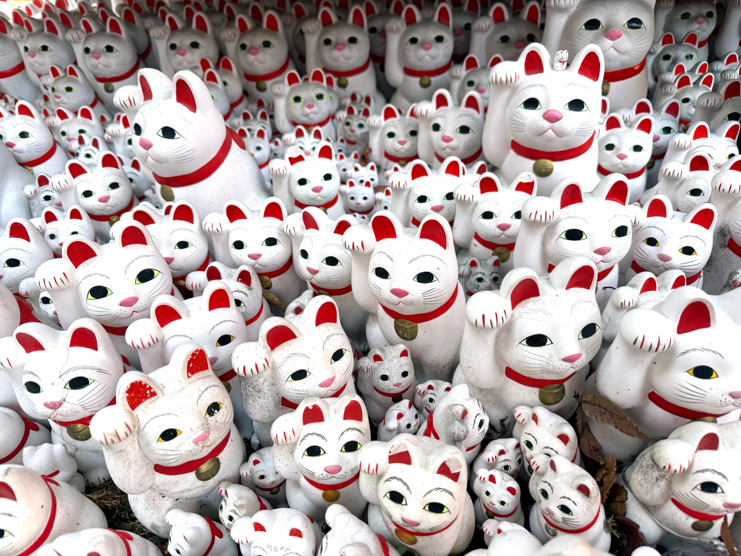 cat Archives - Ja(a)pan