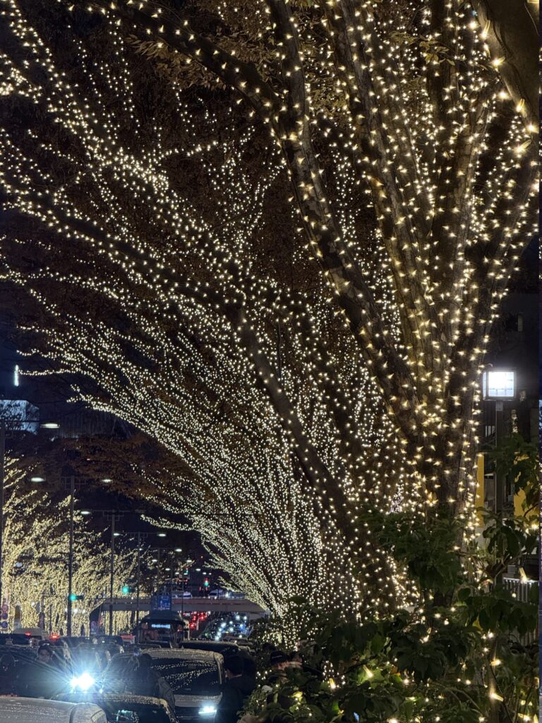 Omotesando Illumination