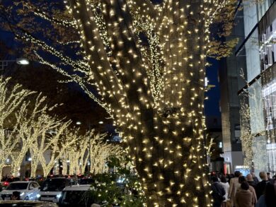 Omotesando Illumination