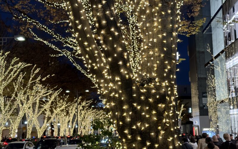 Omotesando Illumination