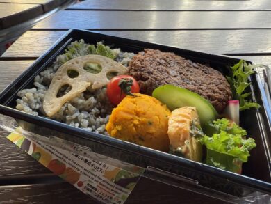 A vegan bento at the Tokyo Vegan Meetup