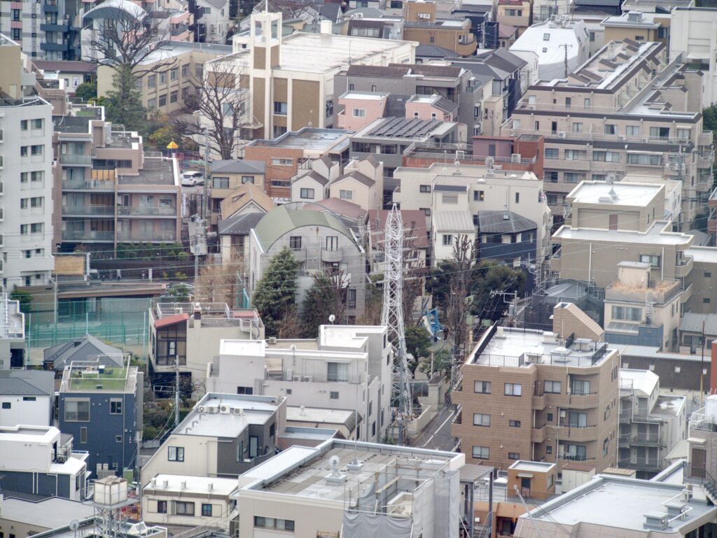 View from the Carrot Tower