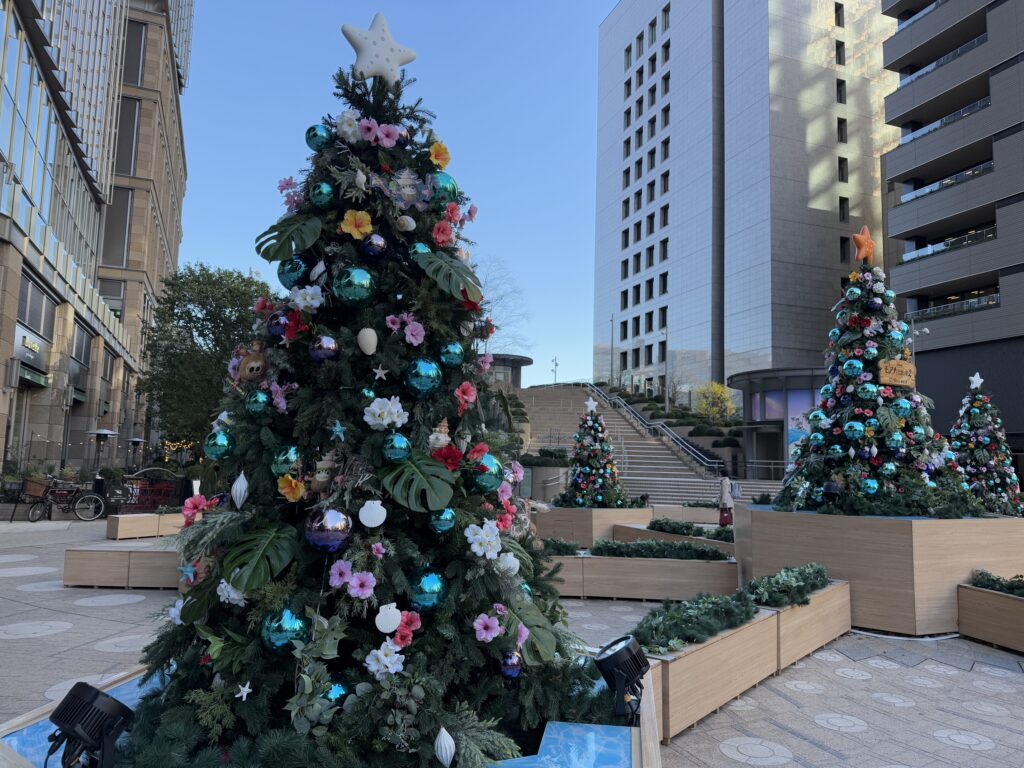 Christmas trees during daytime