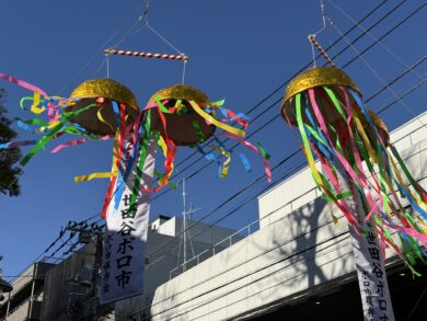 Setagaya Boroichi